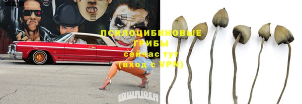 герыч Новодвинск